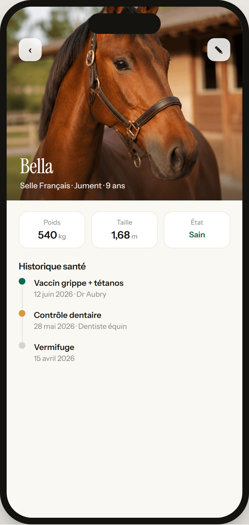 PonyBook
